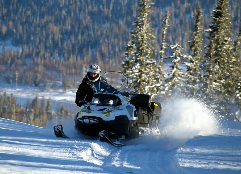 Изображение Снегоход STELS Viking 600: антикризисное предложение