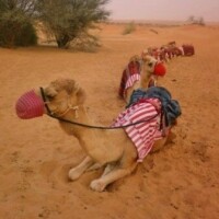 Аватар пользователя