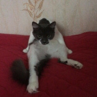 Аватар пользователя