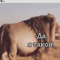 Аватар пользователя